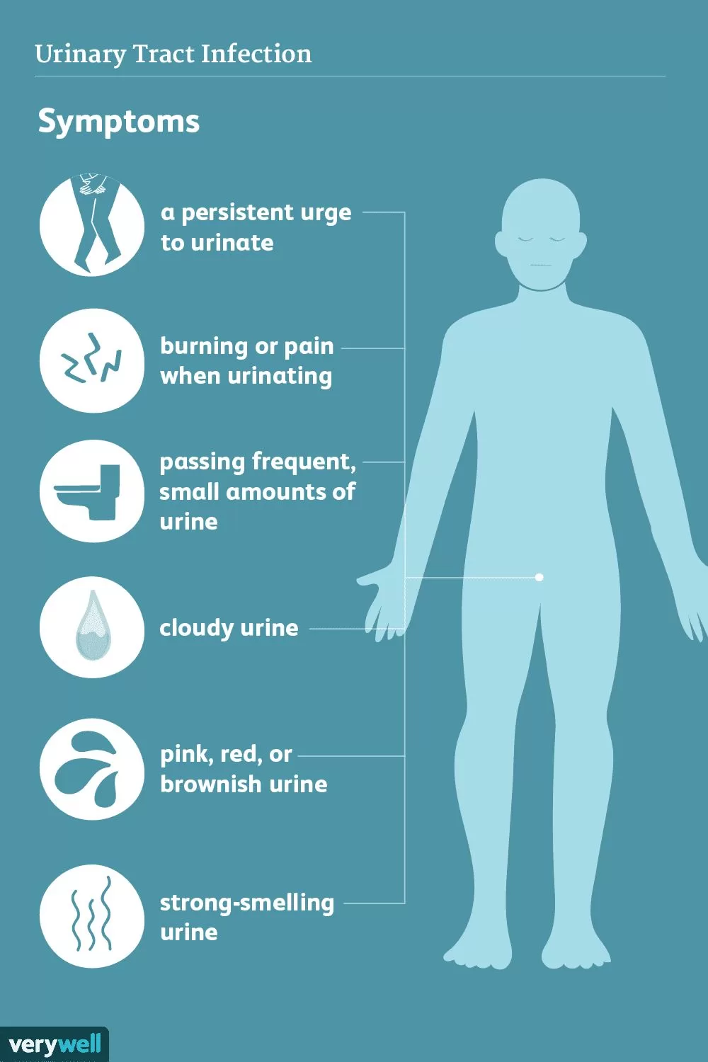 Image showing common symptoms of a urinary tract infection (UTI) such as painful urination, frequent urge to urinate, and lower abdominal pain.
